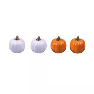 Assorted Pumpkin Salt & Pepper Shaker by Celebrate It™ Thanksgiving | Michaels Stores