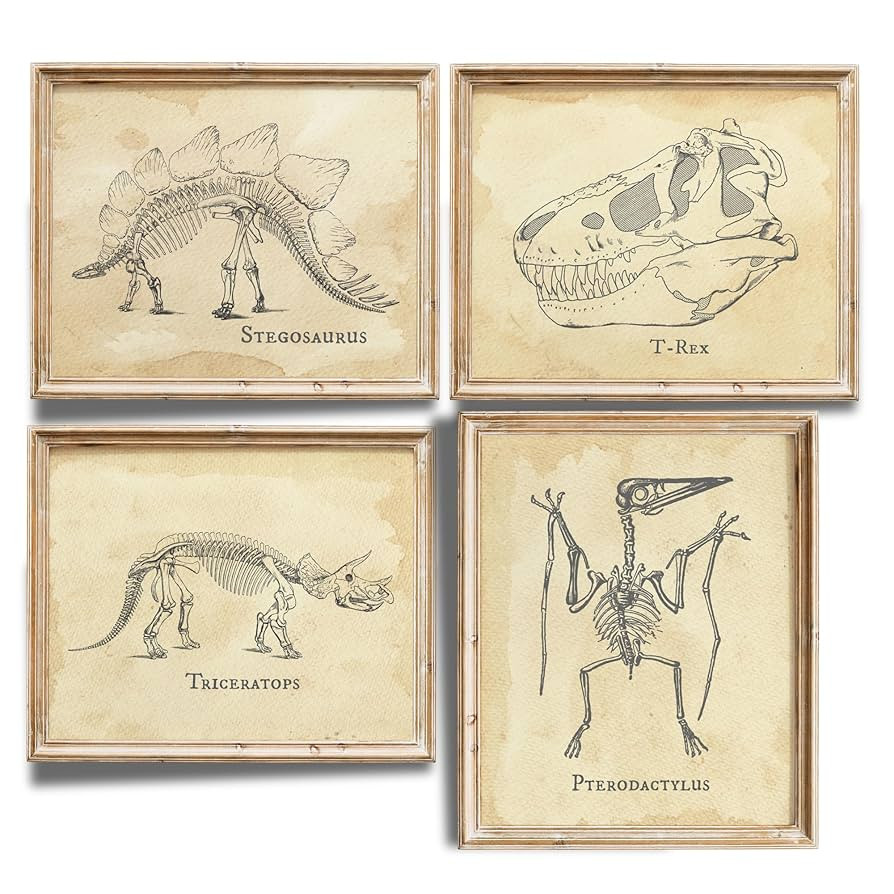 Dinosaur Bedroom Art Prints (Set of 4) - Unframed - 11x14s | Fun and Educational Prehistoric Deco... | Amazon (US)