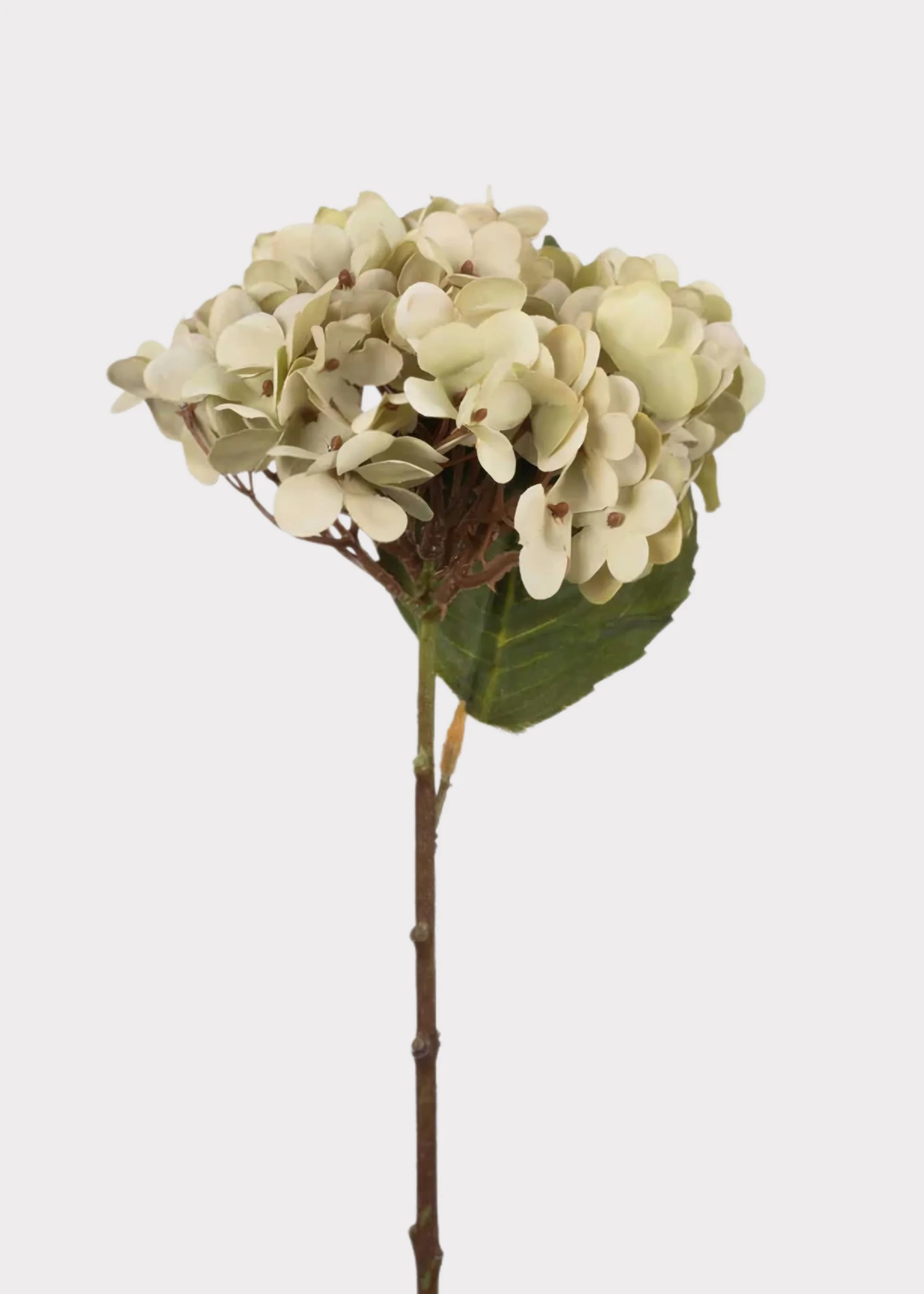 Hydrangea Stem in Soft Green | Premium Artificial Flowers at Afloral | Afloral