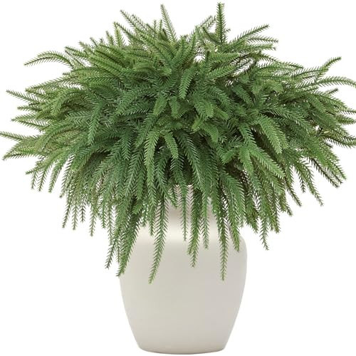 Alynsehom 12PCS Christmas Norfolk Pine Branches, Artificial Xmas Norfolk Pine Stems Faux Christmas Branch for Xmas Indoor Outdoor DIY Garland Wreath Home Garden Decoration | Amazon (CA)