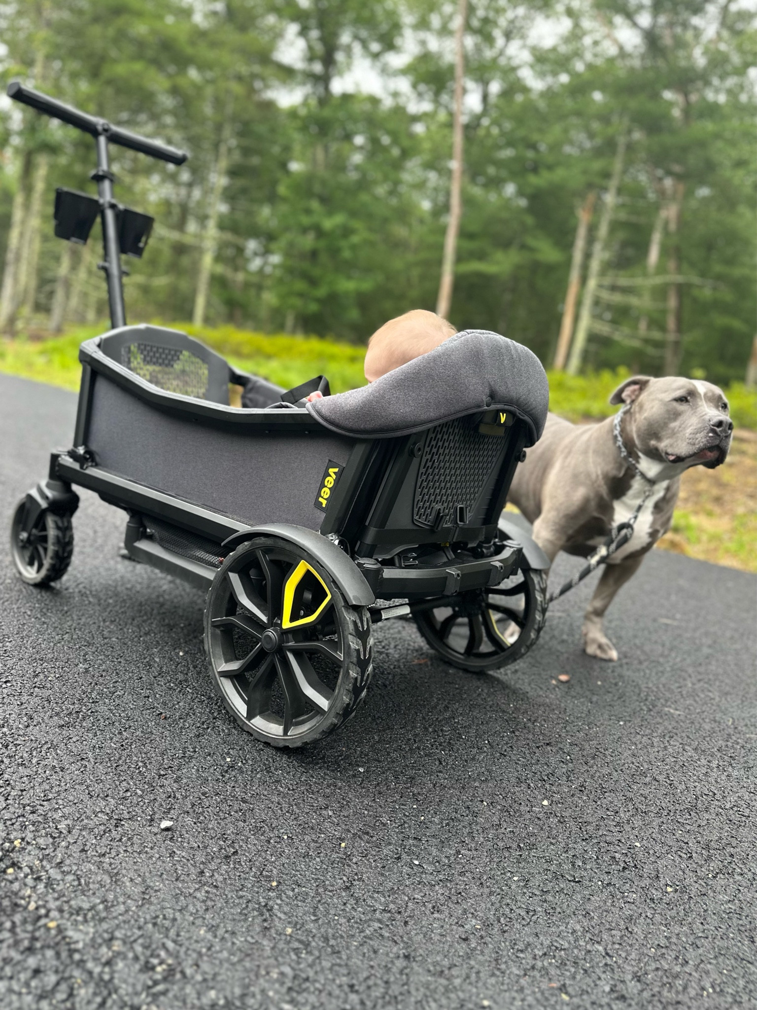 Baby wagon 💛 

• veer wagon, veer accessories, wagon, baby gear, beach wagon, trail wagon 

#LTKbump #LTKbaby #LTKfamily