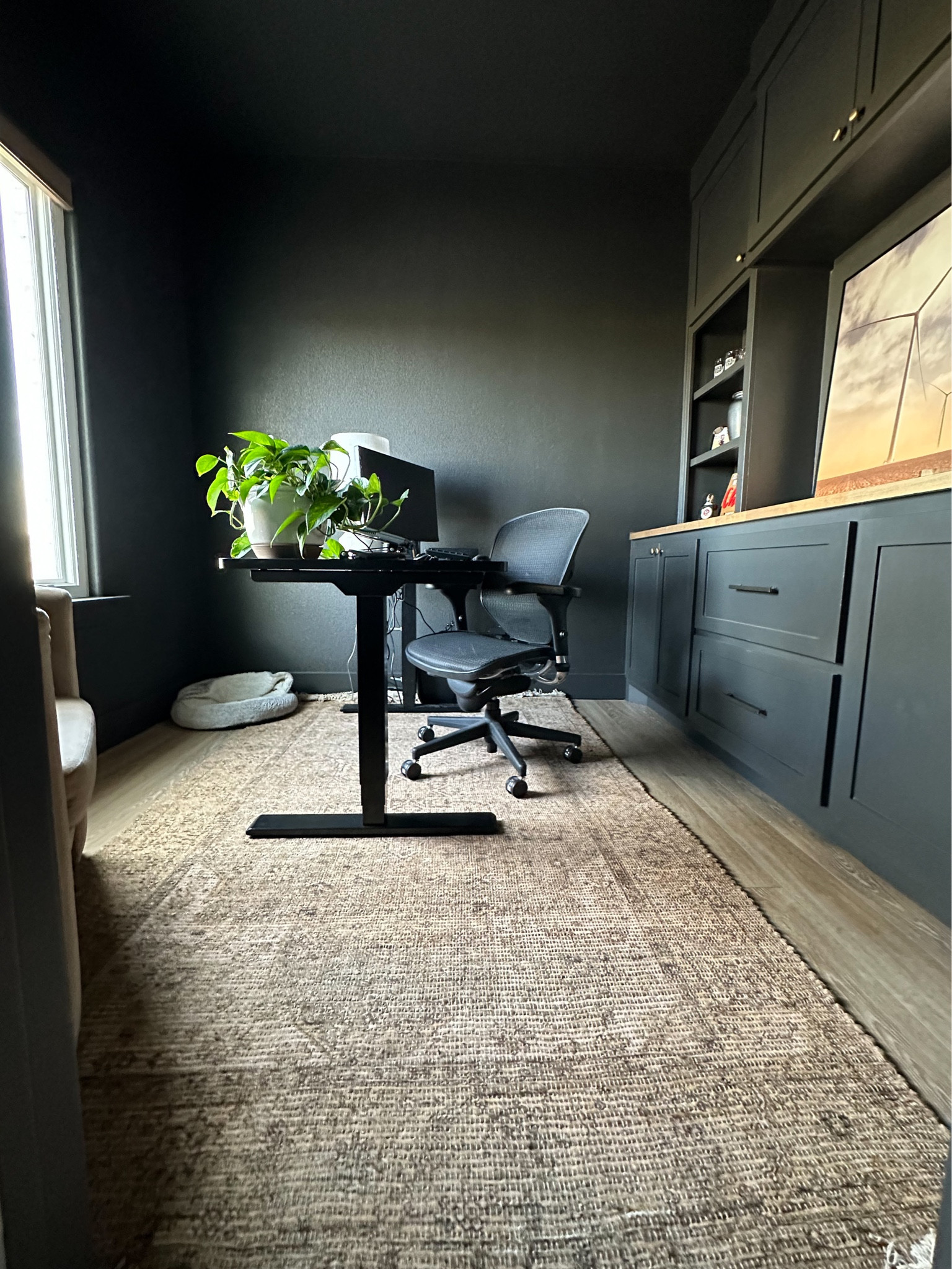 Office rug

#LTKhome #LTKsalealert