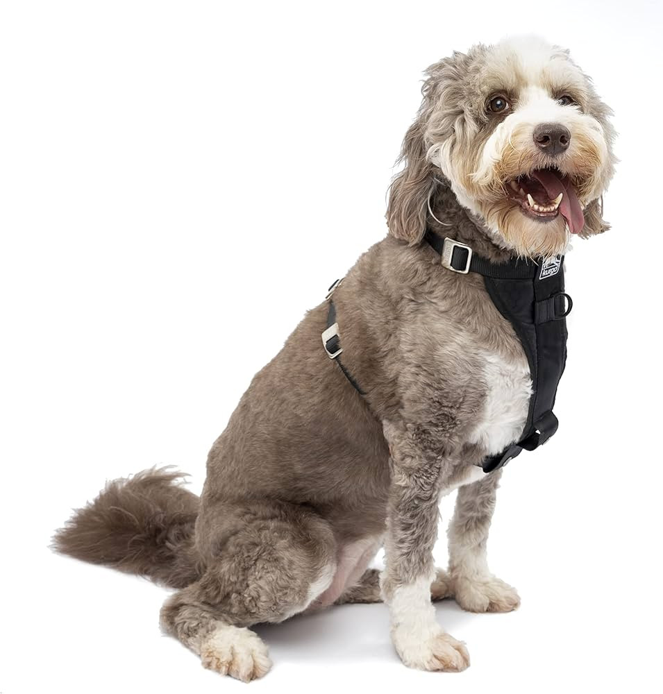 Kurgo Enhanced Strength Tru-Fit Smart Dog Harness, Black, Large - Crash Tested Car Safety Harness... | Amazon (US)