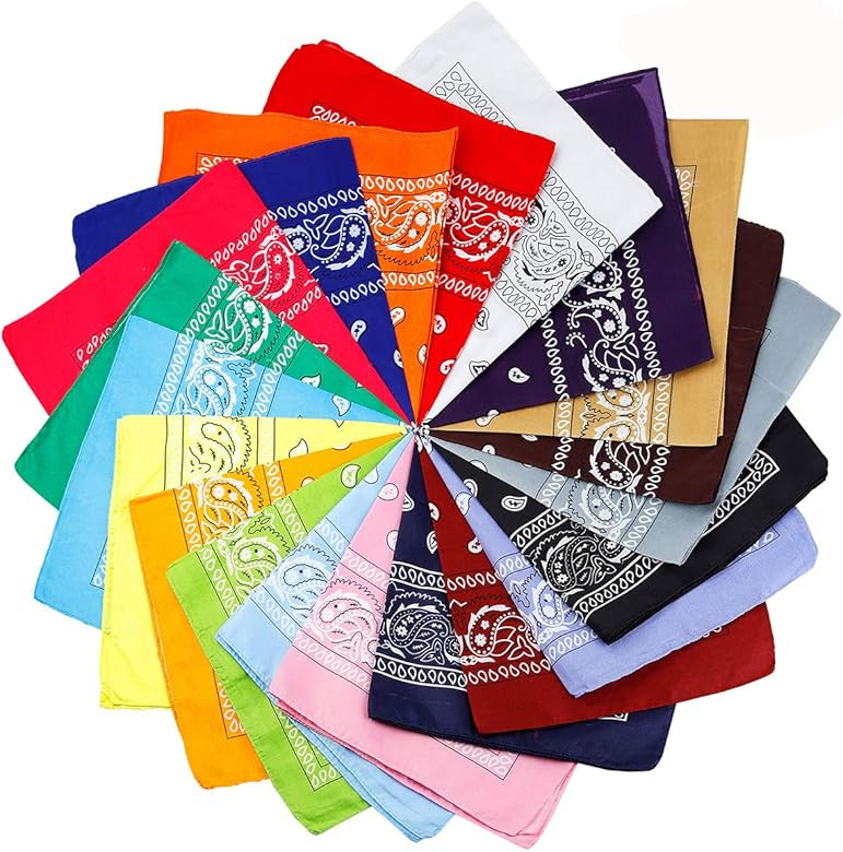 20 Pcs Assorted Bandanas Paisley Cowboy Polyester Headbands 22x22 inch | Amazon (US)