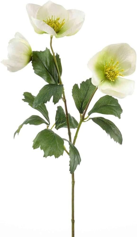 FloristryWarehouse Artificial Helleborus or Hellebore Spray 44cm/17 Inches Tall White, 425858 | Amazon (US)