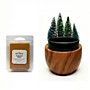 Red Shed Wood Bowl and Pine Trees Wax Warmer with Harvest Spice Scented Wax Melts, 6.5 in. | Tractor Supply