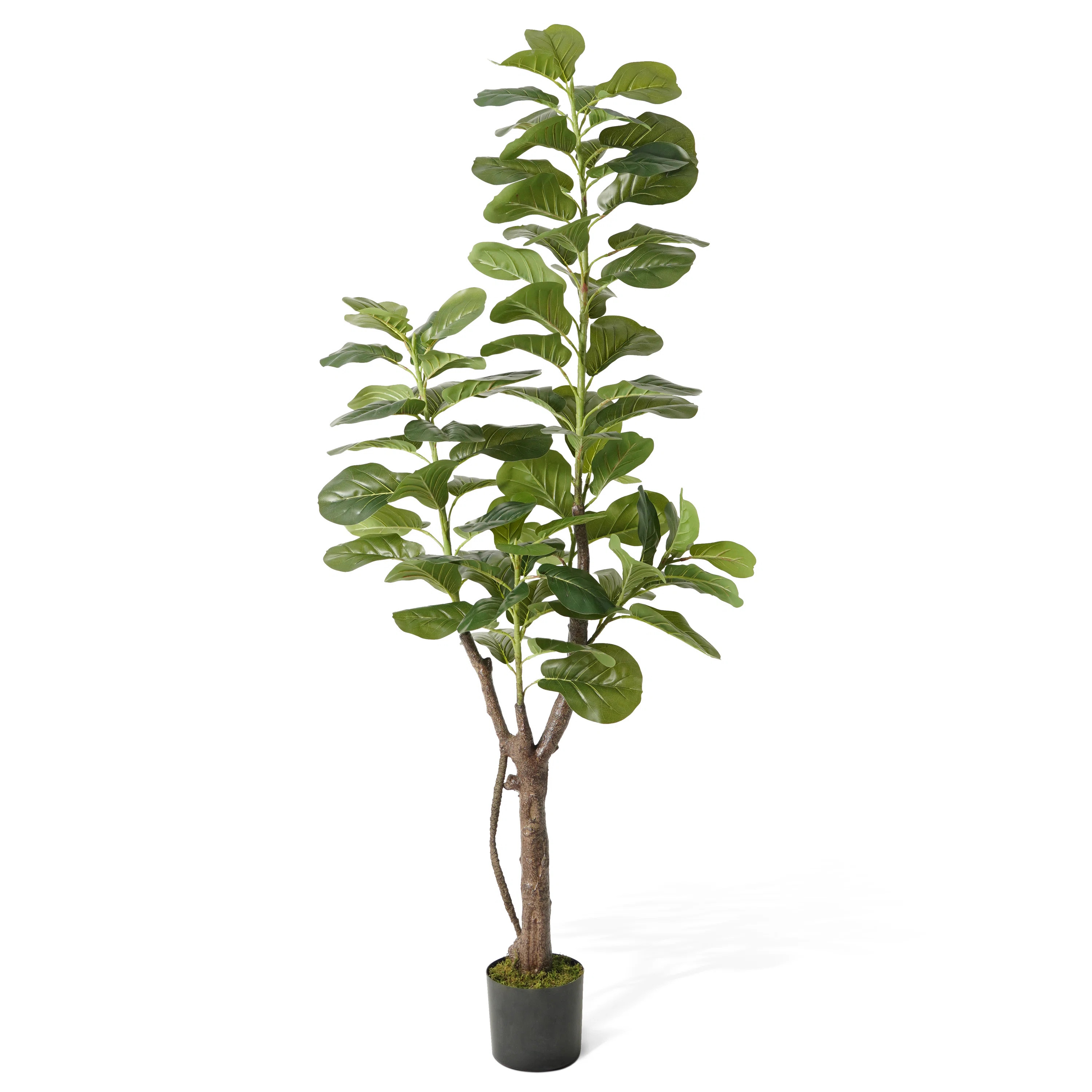 Artificial Fiddle Leaf Fig Tree, 6/7 Feet In Pot With Dried Moss, For Indoor House Home Office St... | Wayfair North America