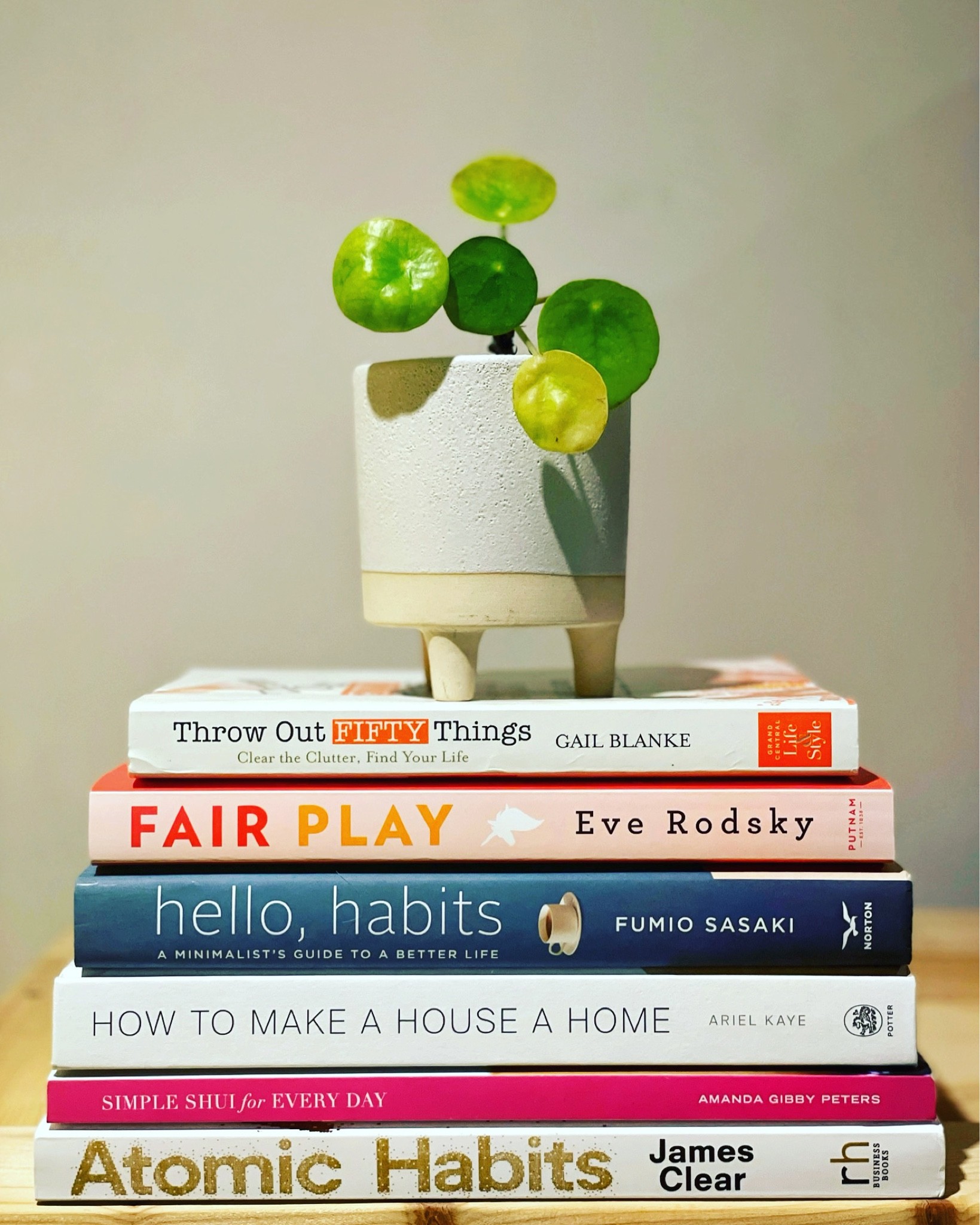 What we’re currently reading 📚 


#LTKunder50 #LTKhome