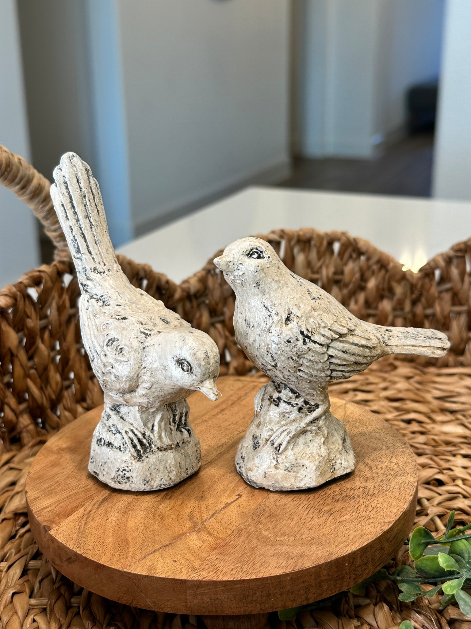 The cutest set of birds are perfect for spring decor!

#LTKHome #LTKSeasonal
