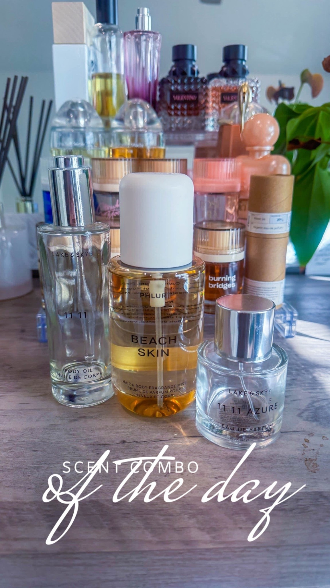 daily smells when your countdown to Hawaii has started!!


#LTKBeauty #LTKFindsUnder100 #LTKFindsUnder50