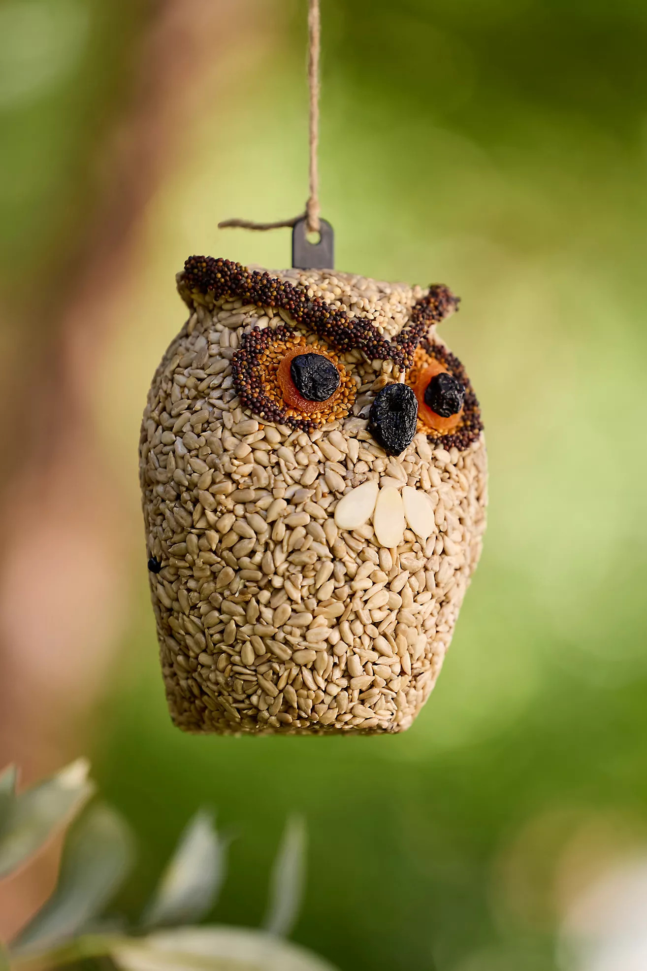Bird Seed Owl | Anthropologie (US)