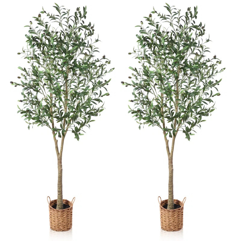 Adcock Artificial Olive Tree In Pot Faux Olive Plant, Fake Olive Tree for Home Decor | Wayfair North America