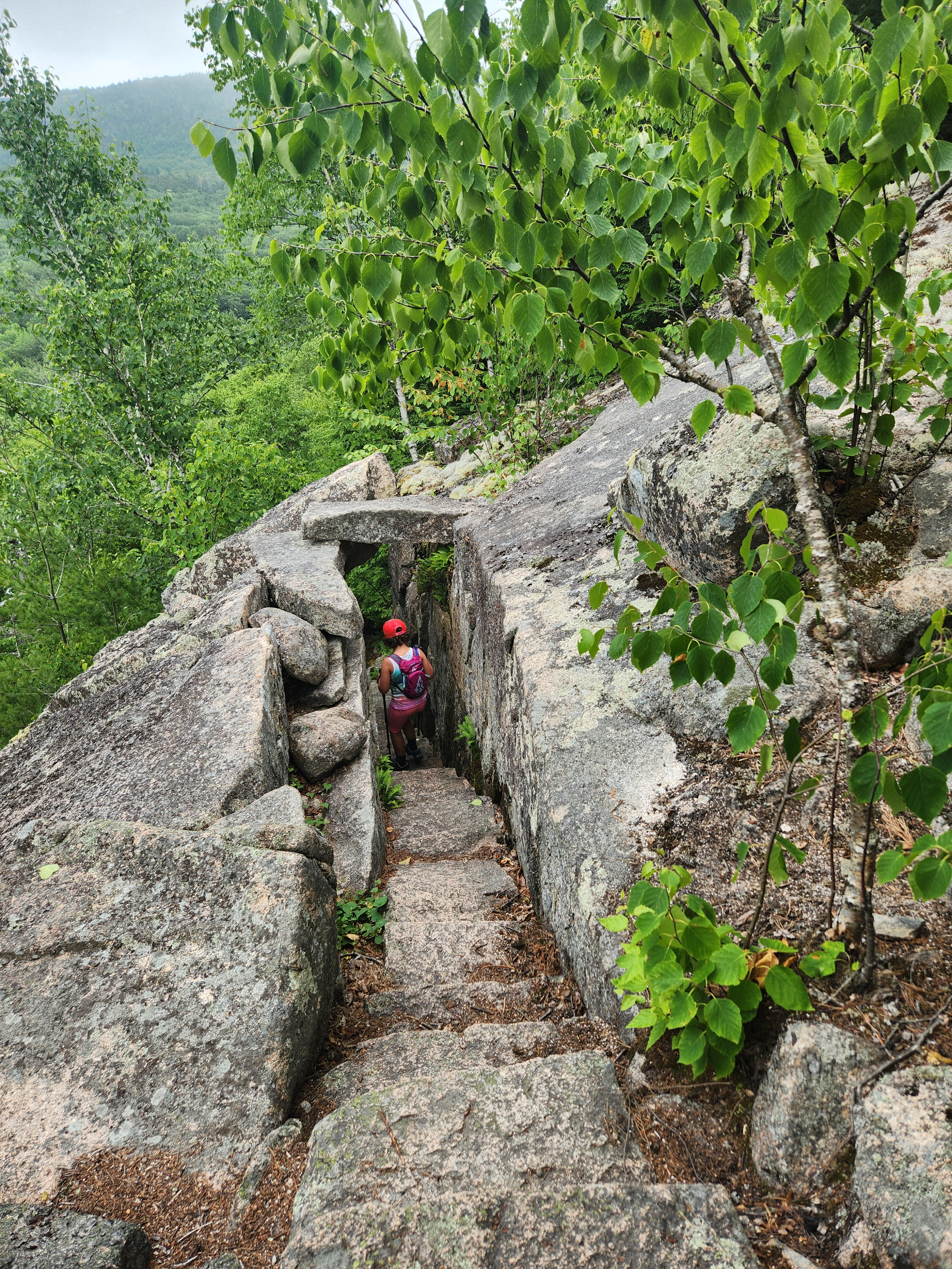 My favorite kids' gear recommendation for hiking. 

 #LTKmomlife #LTKKids