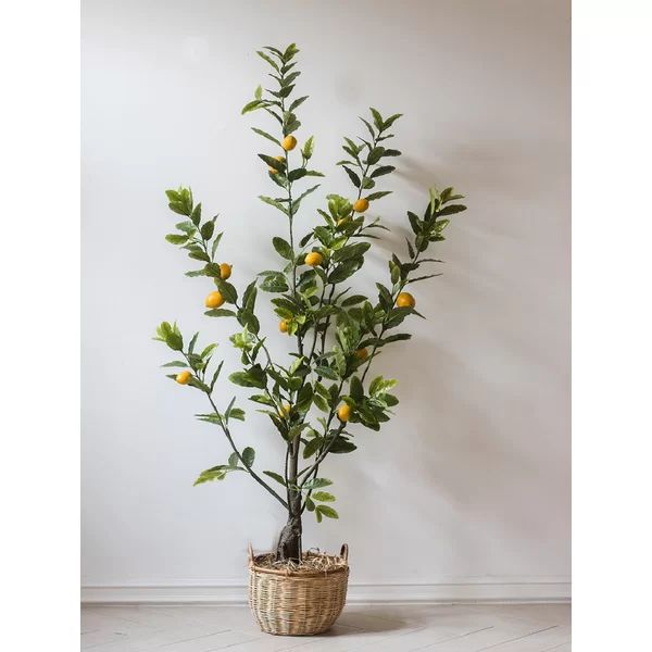 Faux Lemon Tree | Wayfair North America