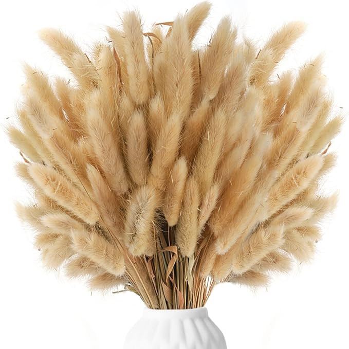 Dicunoy 200PCS Bunny Tails Dried Flowers, 13inch Natural Rabbit Tail Grass for Vase, Boho Lagurus... | Amazon (US)