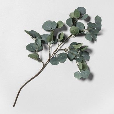 Faux Eucalyptus Stem - Hearth & Hand&#153; with Magnolia | Target