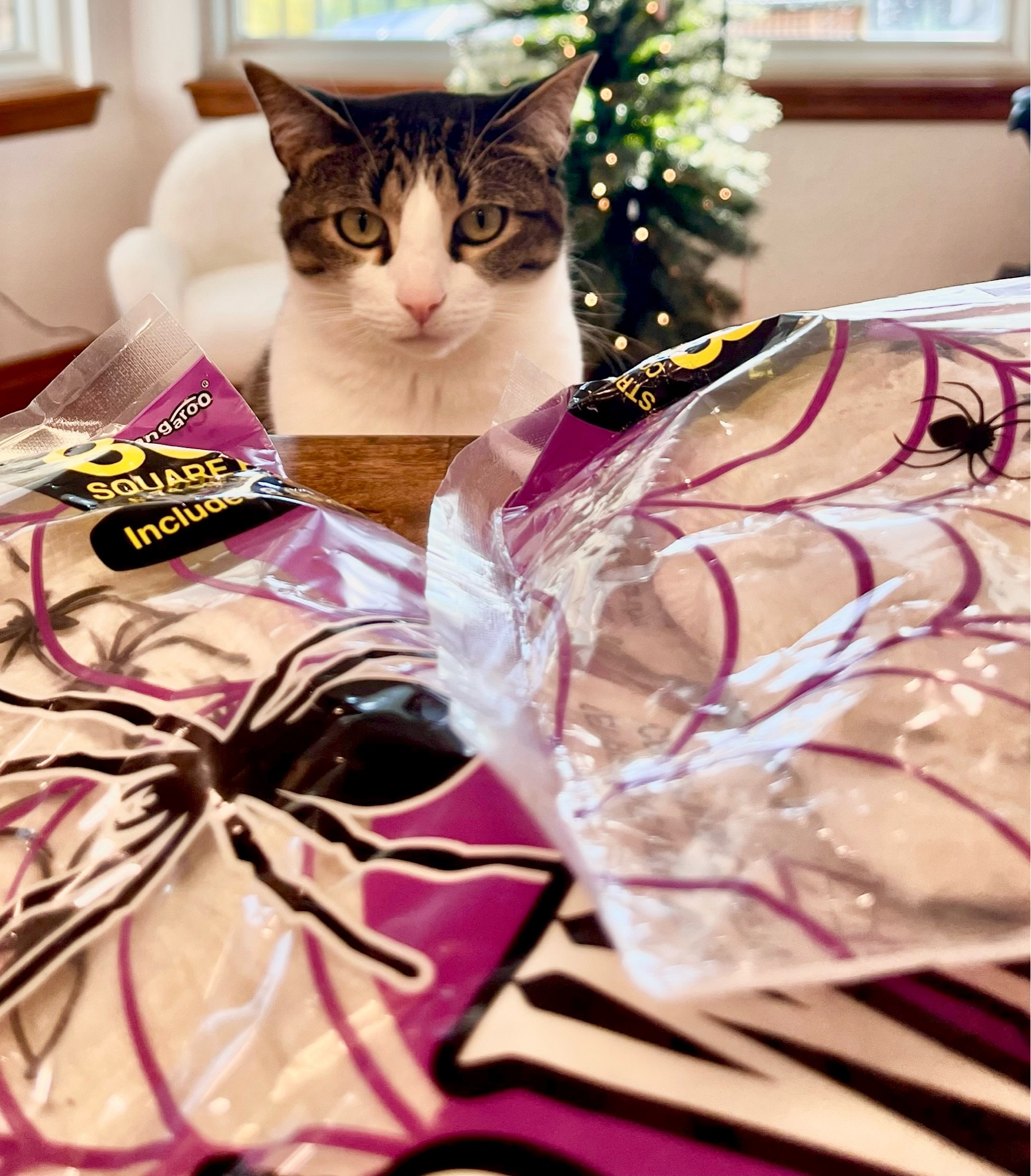 Coraline is a holiday decor lover. 
She wants to let you know that this is her favorite reusable indoor/outdoor webbing  

#LTKSeasonal #LTKHome #LTKSaleAlert