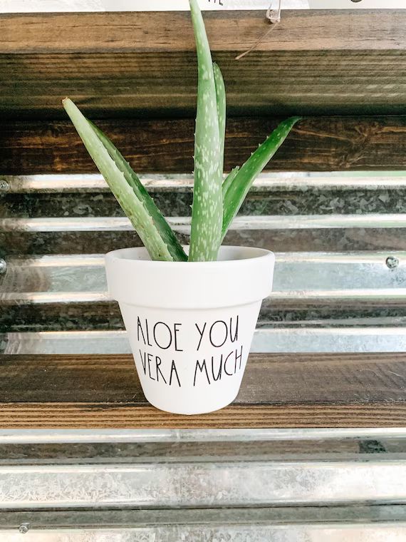 Aloe You Vera Much Plant Pot Funny Pot Punny Planter Cute | Etsy | Etsy (US)