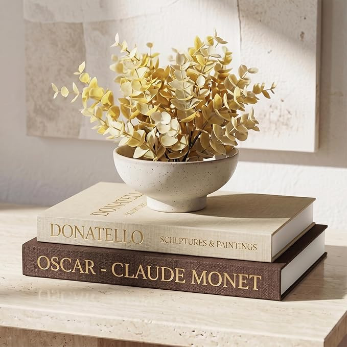 Decorative Books for Home Decor - Set of 2 Faux Books for Decoration with Secure Magnet Closure f... | Amazon (US)