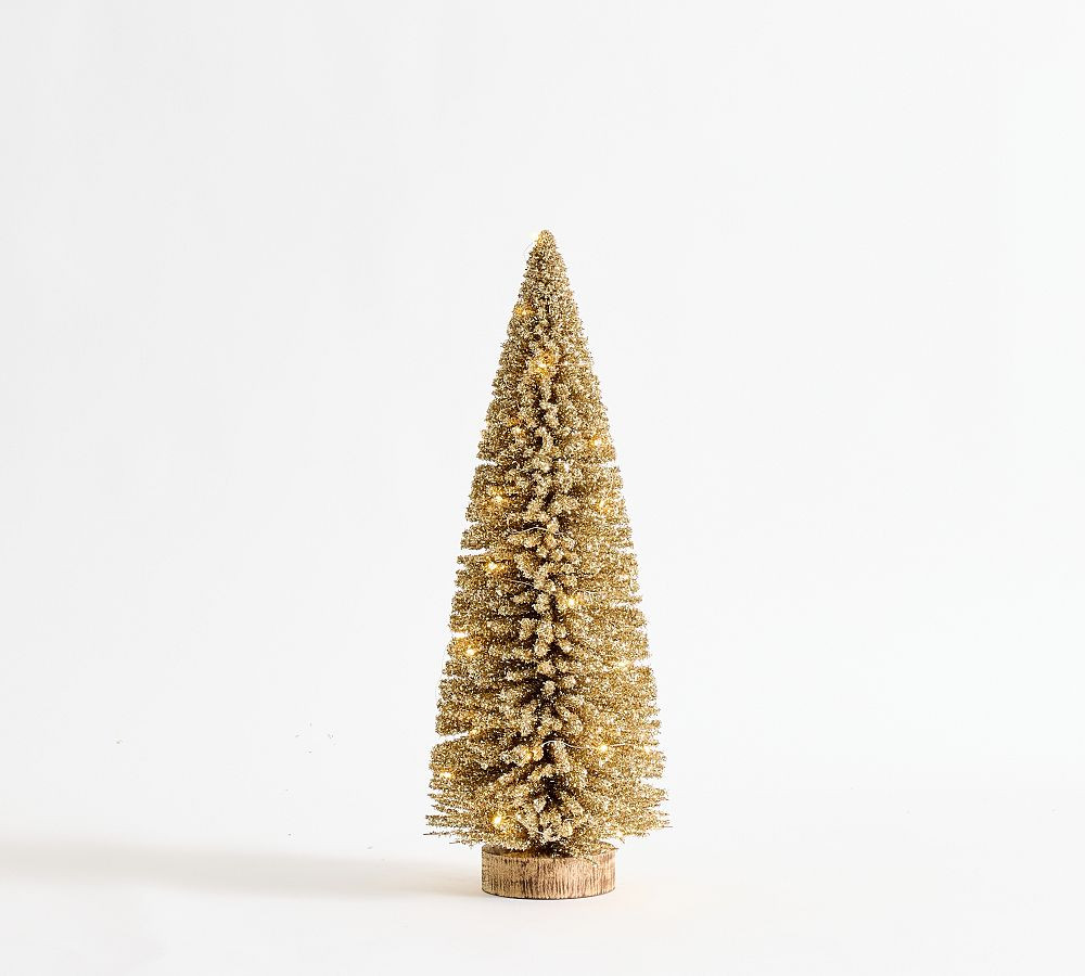 Lit Bottlebrush Trees | Pottery Barn (US)