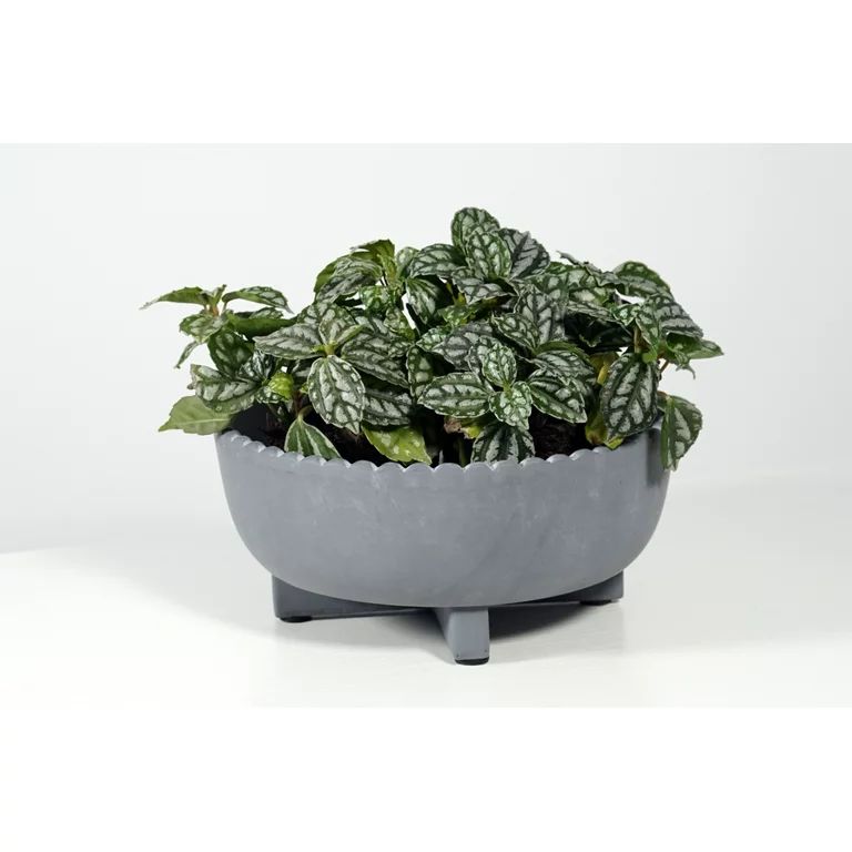 Better Homes & Gardens Pottery 8" Thalea Ceramic Scalloped Bowl with Stand, Grey | Walmart (US)