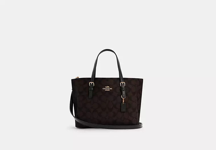 Mollie Tote Bag 25 In Signature Canvas | Coach Outlet US