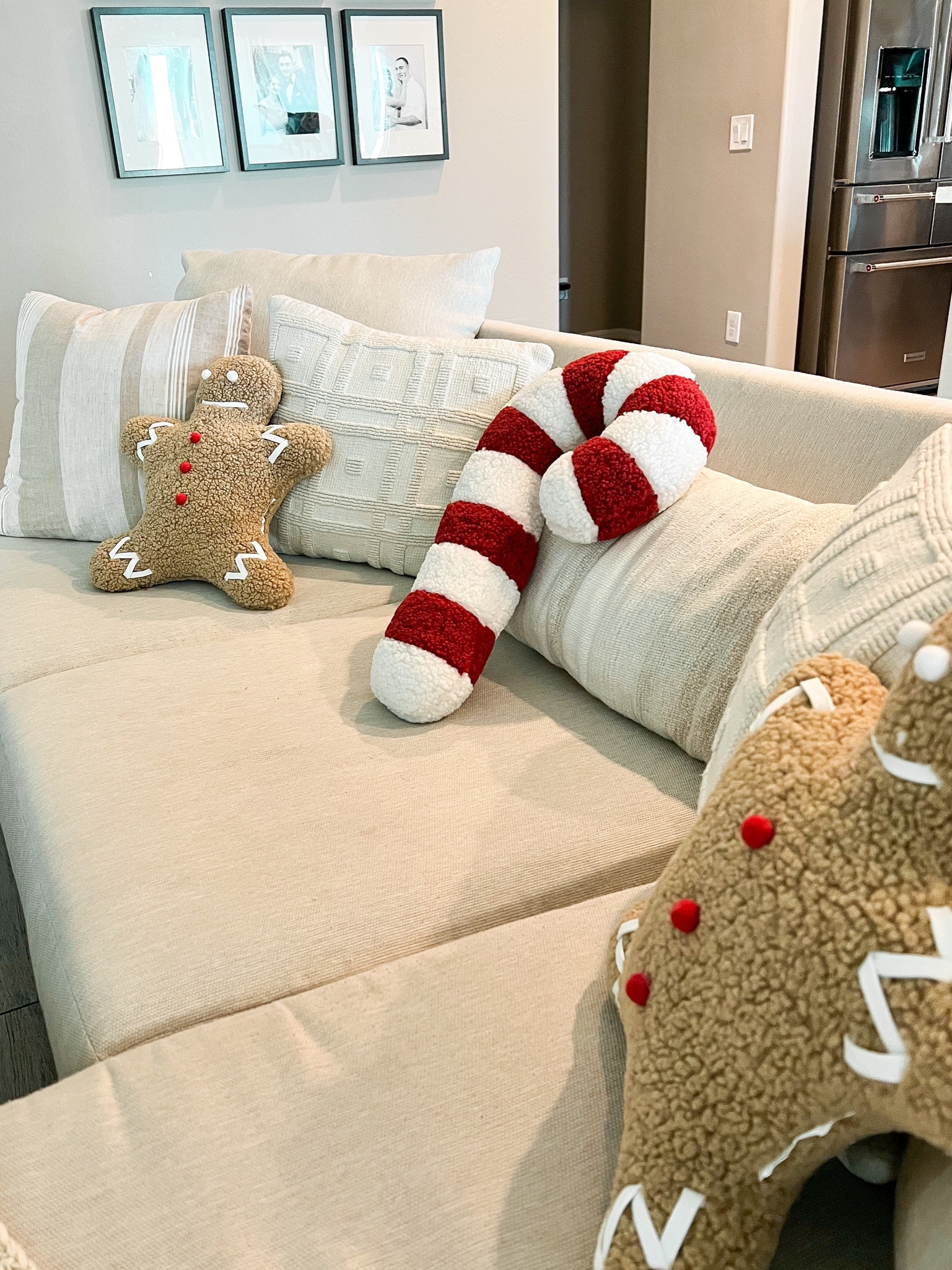 Candy Cane + Gingerman pillows — Aldi finds $9.99 // pottery barn look for less!✨ linked similar finds under $20 

#holidayhomedecor #holidaydecor #christmasdecor #mrspicepillow #gingerbreadpillows #gingerhousepillows #candycanepillows #christmastreepillows #santapillows #peppermintpillows #targetpillows #targethome #targetfinds #christmaspillows #potterybarndupe #candycanelookforless #lookforless #dupefinds #christmasdecoration #cyberweeksale #kirklandshome #kirklandsholiday #kirklandssale #kirklandpillows #pillows #holiday #christmas #homefinds #seasonalfinds #affordablefinds #ltkhome #ltkgiftguide #ltkcyberweek 

#LTKHolidaySale #LTKSeasonal #LTKHoliday