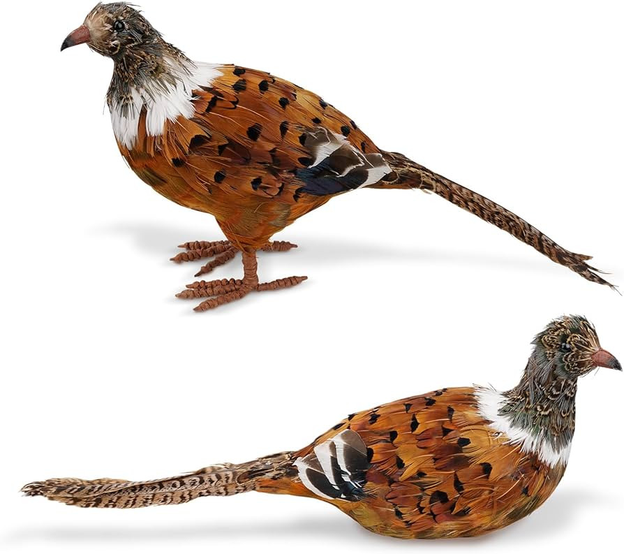naturevibe Feathered Pheasant Decor Set of 2,Simulation Woodland Animals Figurines with Natural P... | Amazon (US)