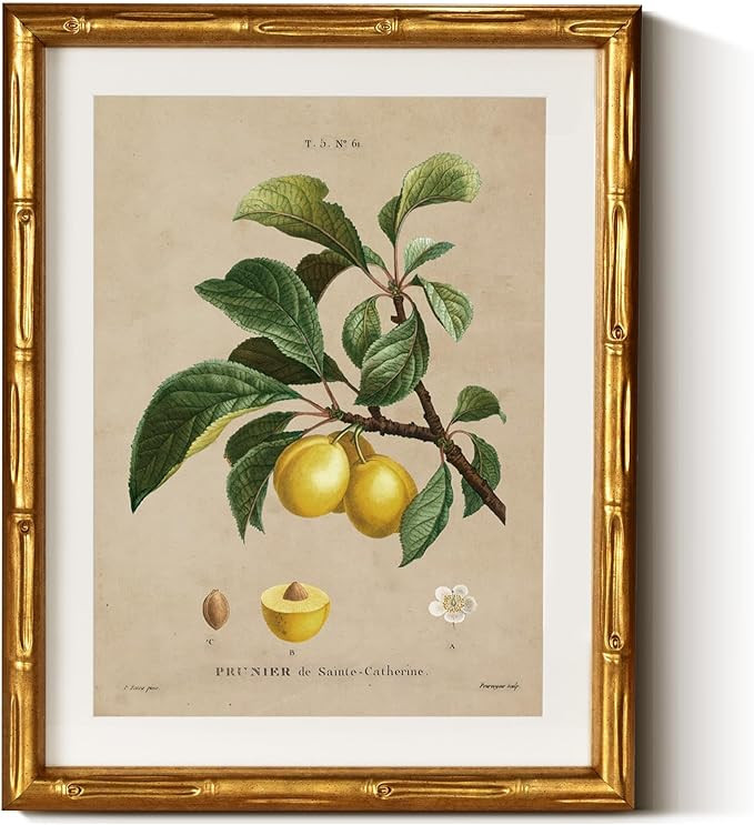 InSimSea Gold Bamboo Framed Canvas Wall Art, Retro Nature Plum Botanical Paintings, Antique Vinta... | Amazon (US)