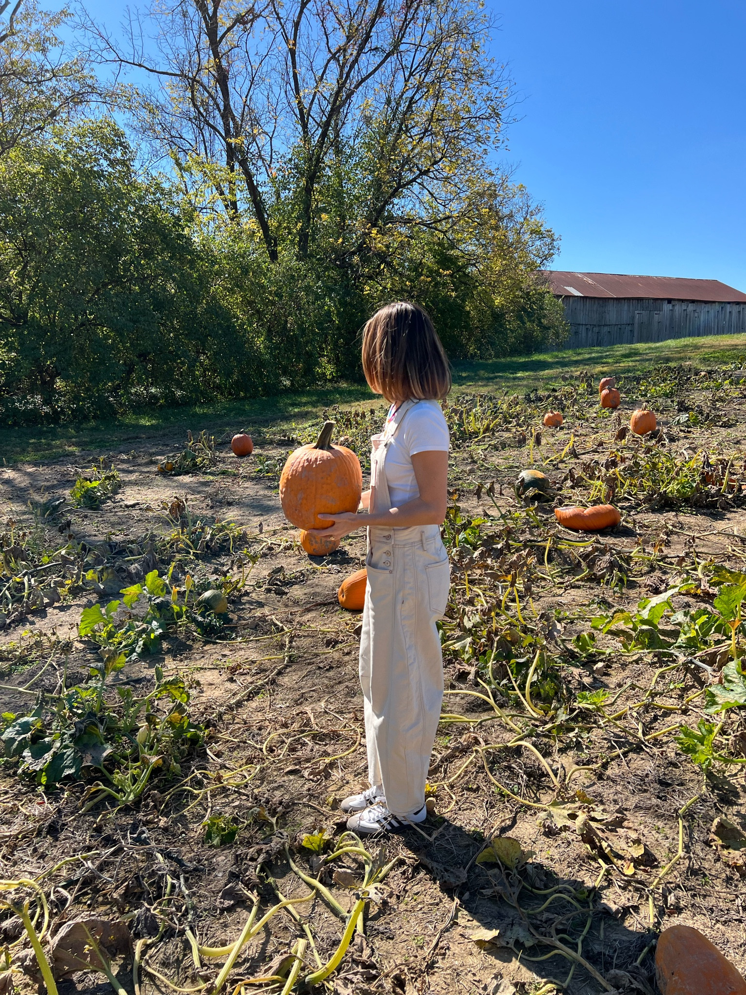 Fall outfit 

Fall, fall outfit, fall fit, Free People, pumpkin patch



#LTKStyleTip #LTKHalloween #LTKSeasonal