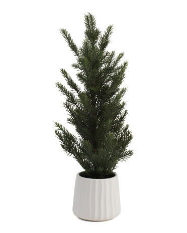 24in Pine Tree In Cement Pot | Marshalls