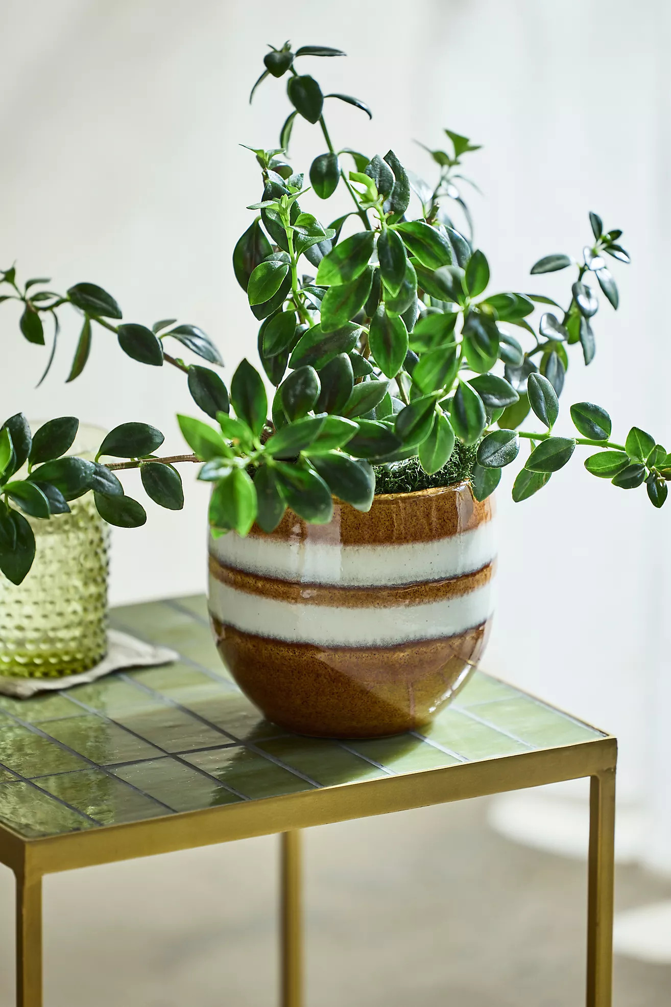 Saffron Banded Egg Pot | Anthropologie (US)