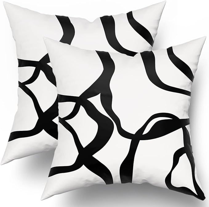 Black and White Pillow Covers 18x18 Set of 2 Modern Abstract Art Line Boho Design Throw Pillows B... | Amazon (US)
