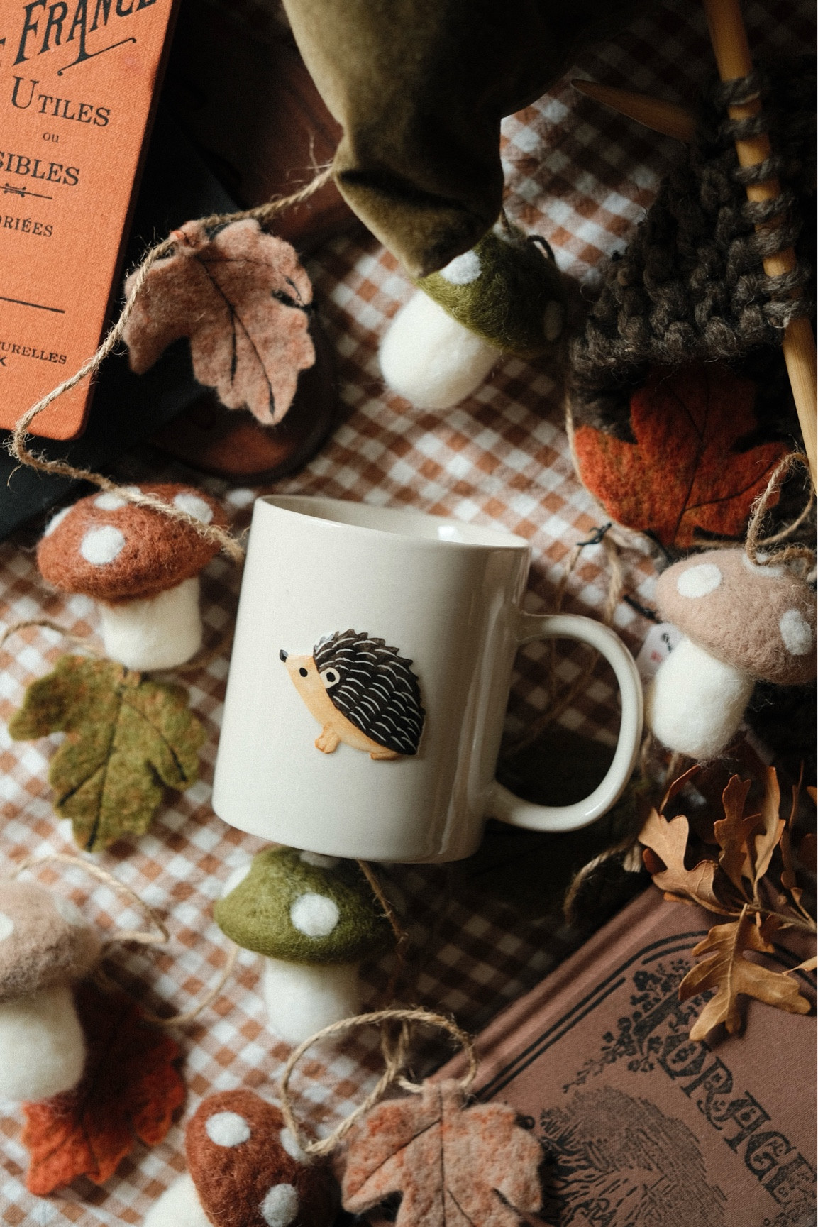 Newest additions to my fall home decor! I love all the cozy, woodland vibes for these chilly seasons 🍂🦔🍄

#LTKHome #LTKSeasonal #LTKFindsUnder50