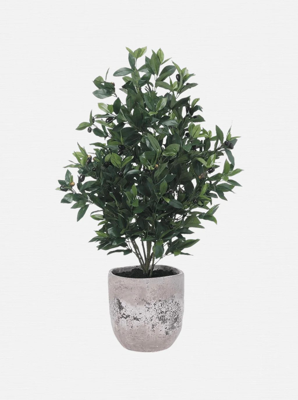 Potted 45" Faux Olive Tree | House of Jade Home
