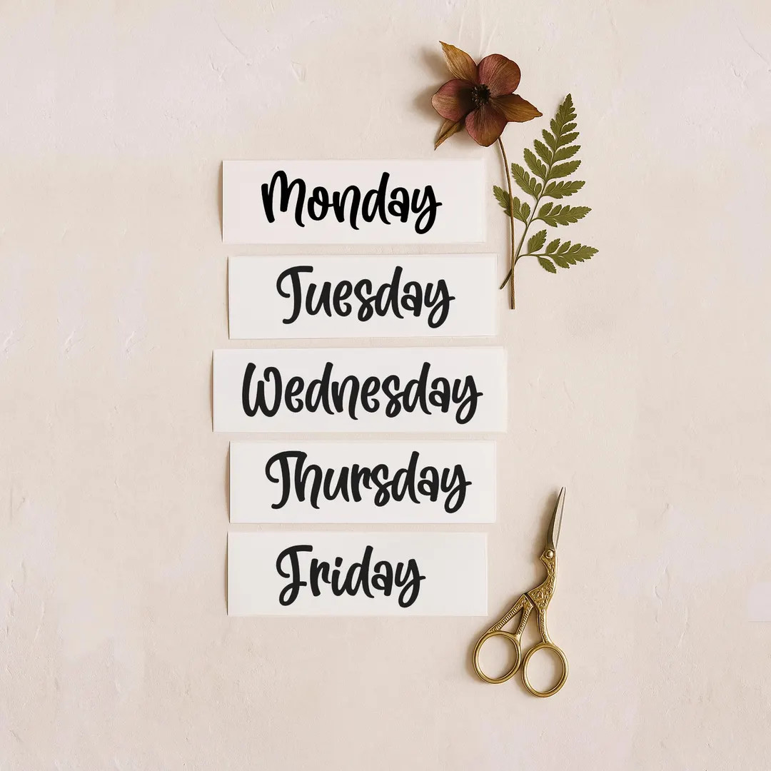 Days of the Week Stickers, Days of the Week Stickers, Weekly Label Decals for Organization, Home ... | Etsy (US)
