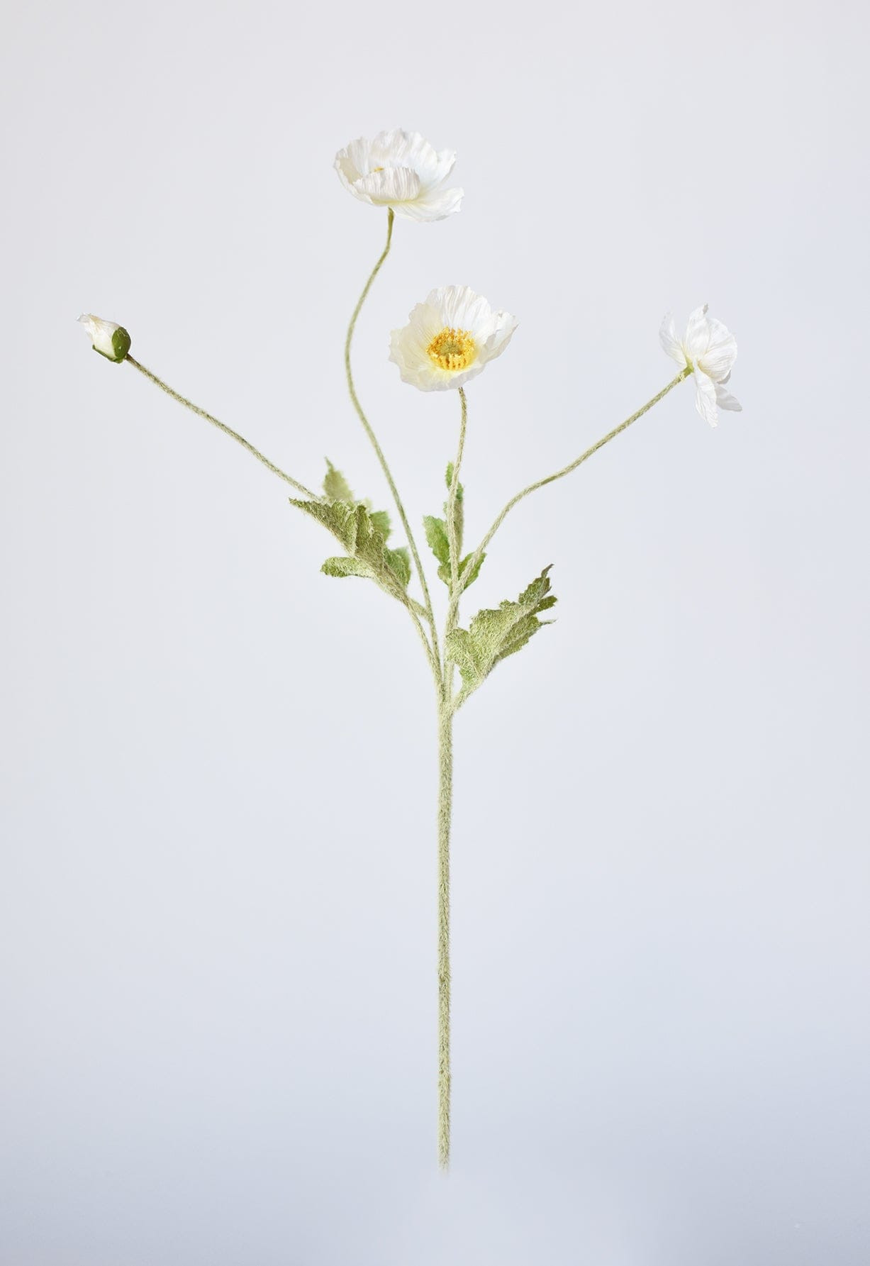 24" Faux White Poppy Stem | HouseFloral