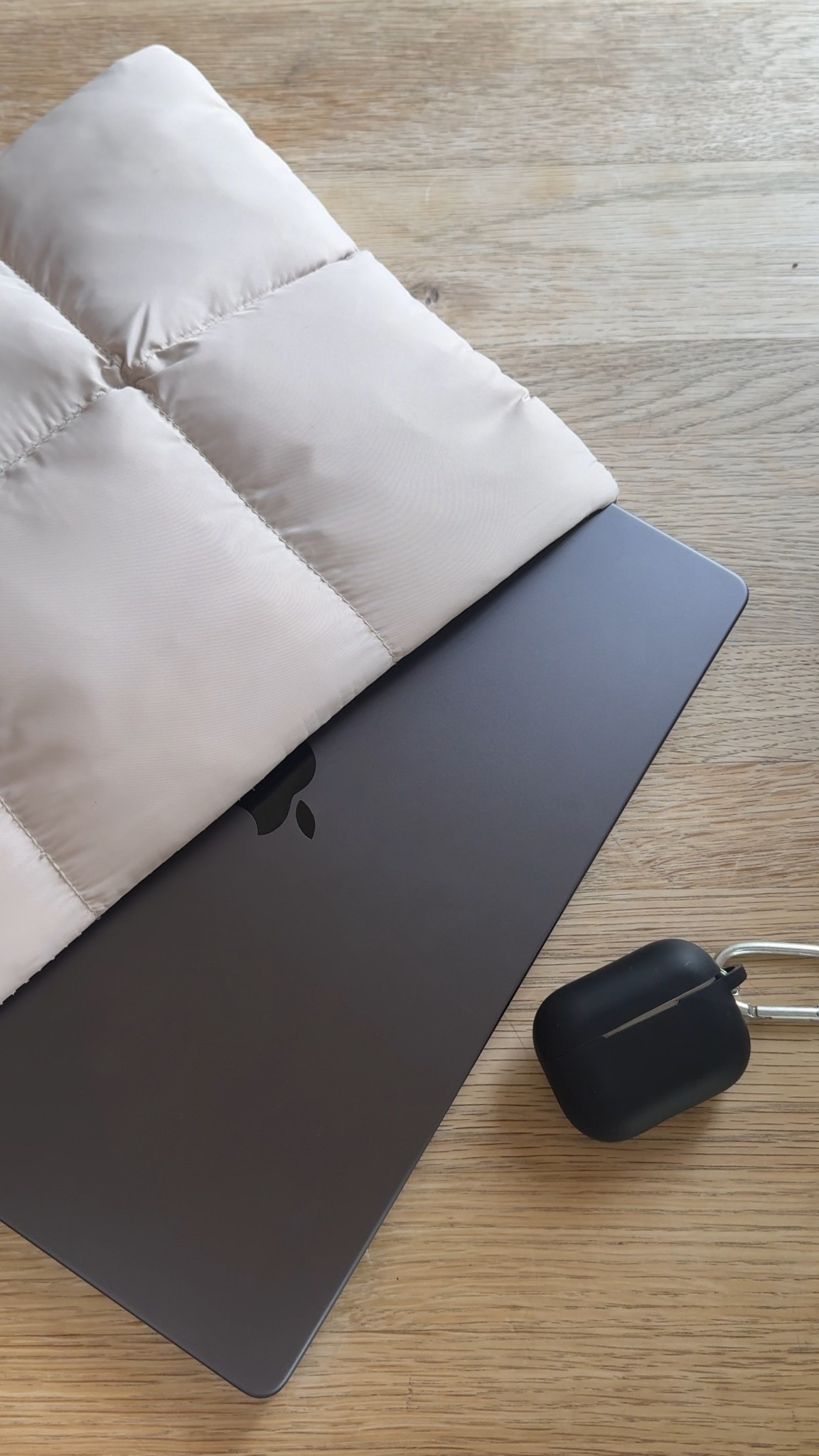 puffer laptop sleeve 

#LTKTravel #LTKSeasonal #LTKItBag