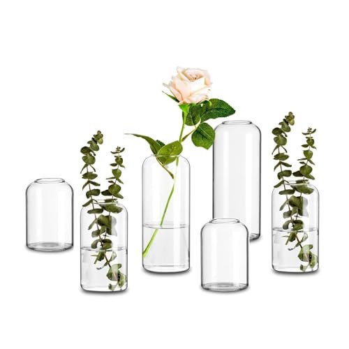 Glasseam Clear Glass Bud Vase, Set of 6 Modern Cylinder for Centerpieces, Blown Craft Aesthetic Decorative Small Flower Vases Bulk for Flowers Rose Tulip Pampas Grass | Amazon (US)
