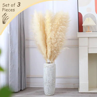 Preserved Pampas Grass – 59-Inch Tall, Neutral Beige (3 Set) | Wayfair North America