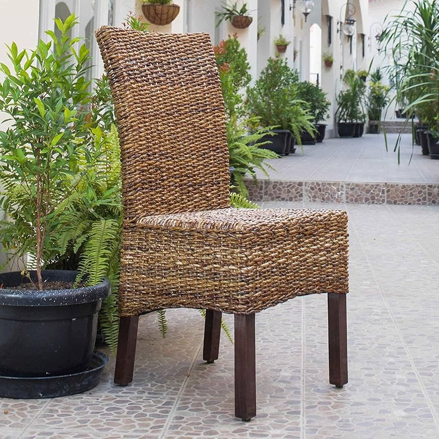 International Caravan Furniture Piece Set of Two Arizona Abaca Dining Chairs | Amazon (US)