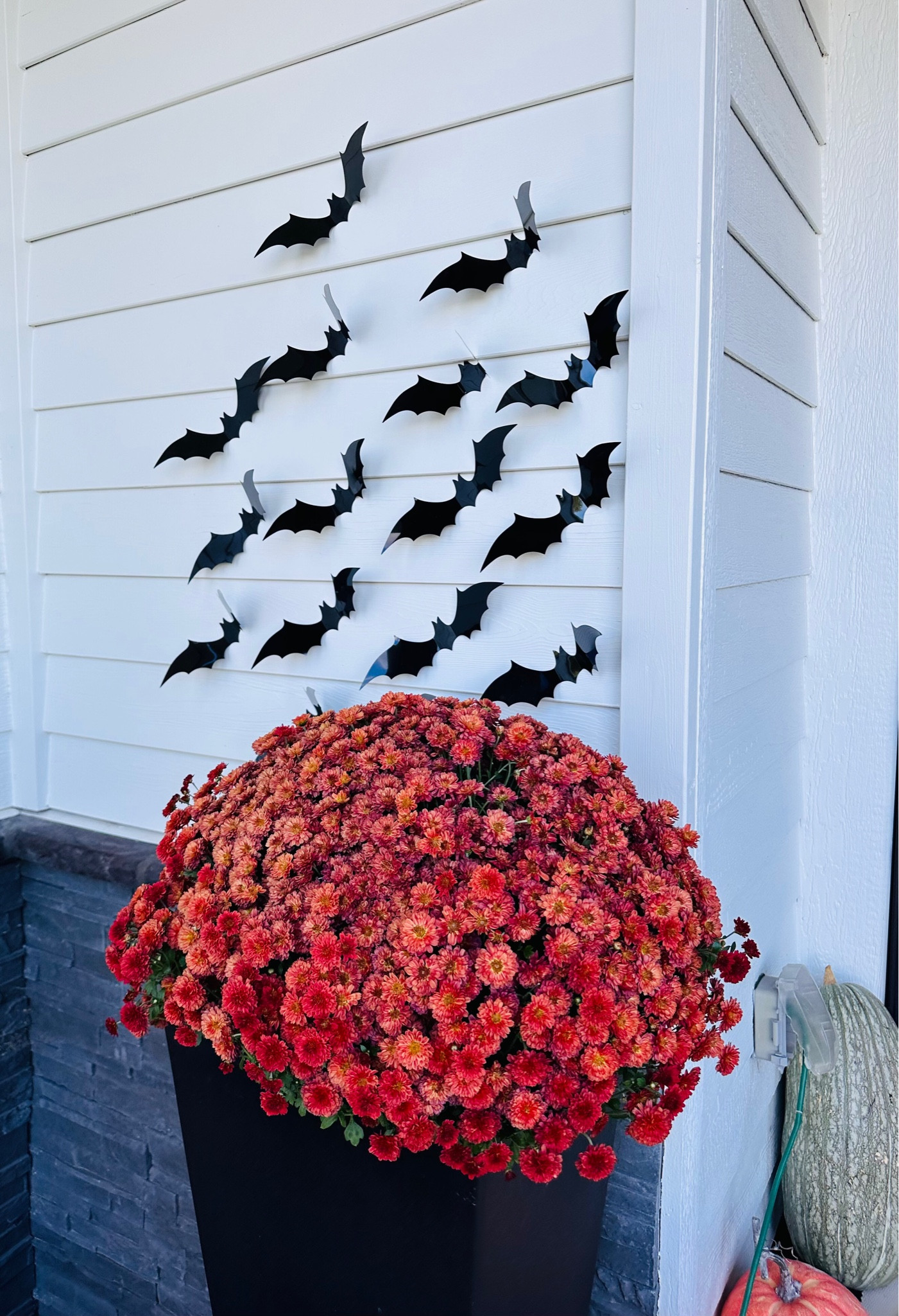 These wall bats are such cute Halloween decoration!
#homefinds #seasonalstyling #designtips #falldecor

#LTKSeasonal #LTKhome #LTKstyletip