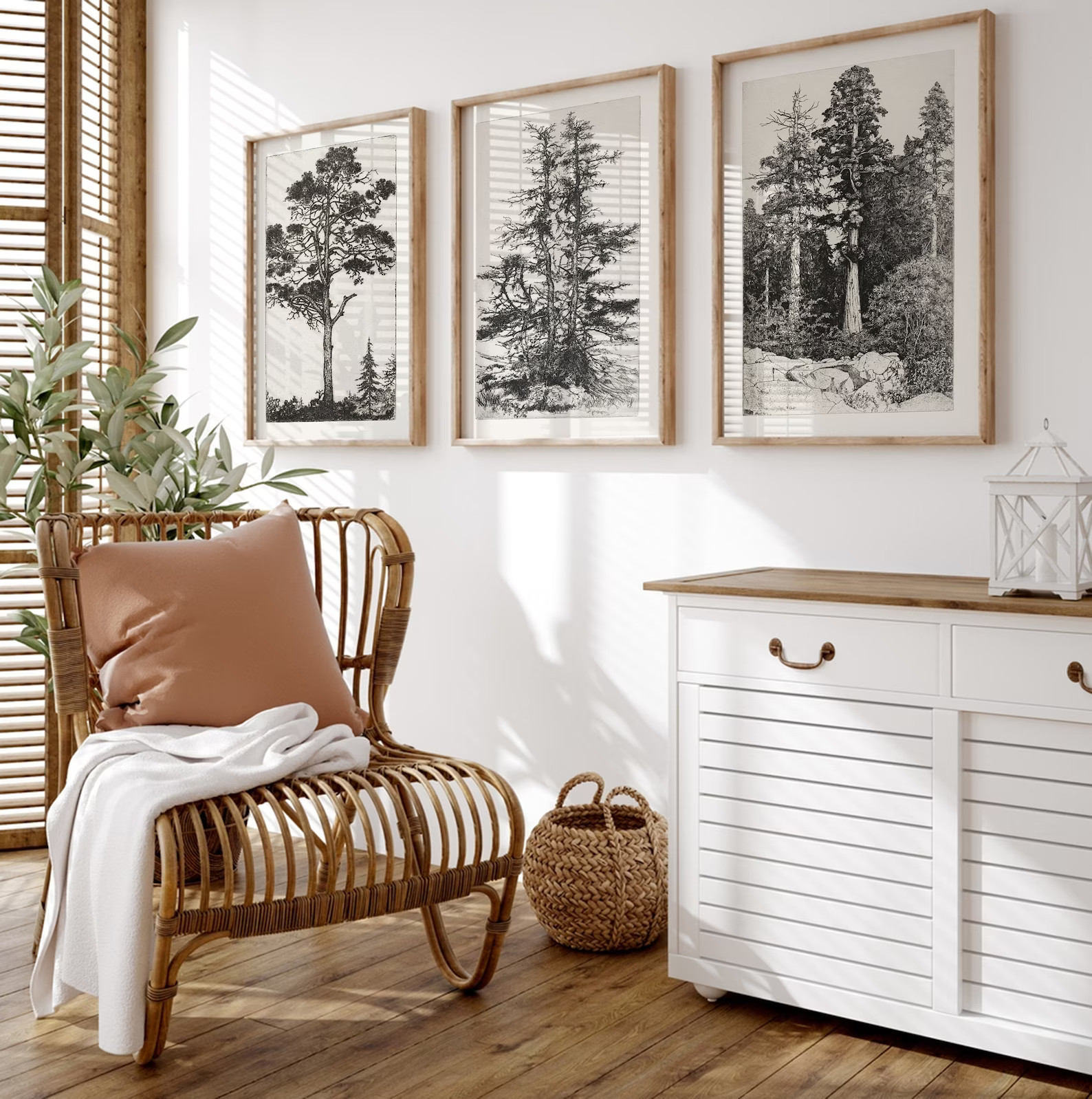 Vintage Tree Sketch Set of 3, Forest Print, Antique Tree Drawings, Botanical Art, Farmhouse Art S... | Etsy (US)