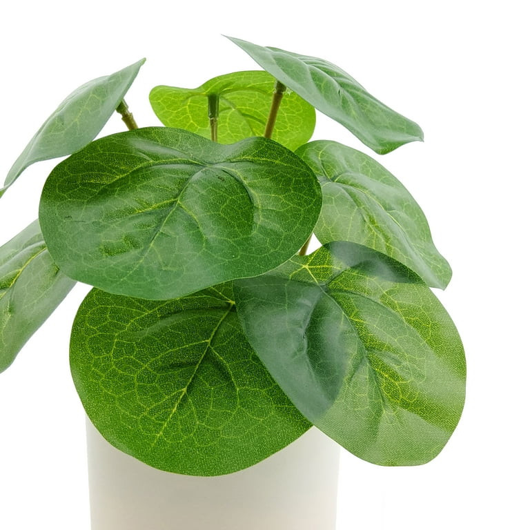 Mainstays Indoor Artificial 7in Money Plant in Pot, Green Color. | Walmart (US)