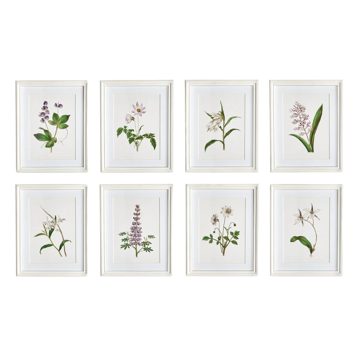 Set of Eight Petite Framed Flowers in Bloom Prints Wall Art | The Well Appointed House, LLC