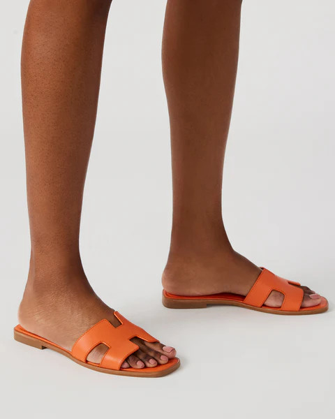 HADYN ORANGE LEATHER | Steve Madden (US)