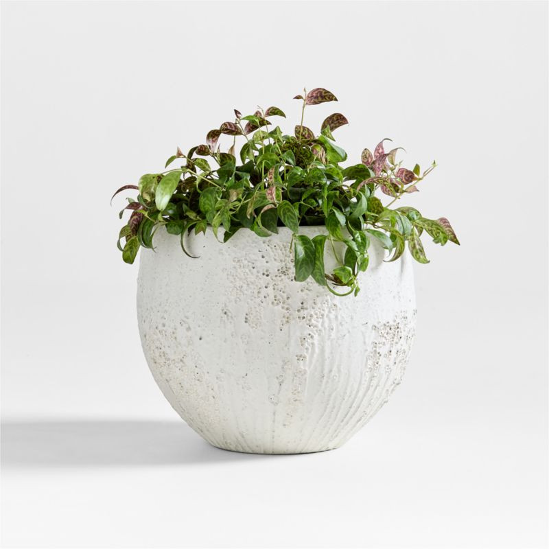 Messina White Textured Indoor/Outdoor Planter 15.7""x15.7 | Crate & Barrel