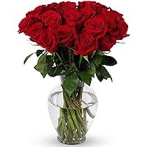 Benchmark Bouquets 2 Dozen Red Roses, With Vase (Fresh Cut Flowers) | Amazon (US)