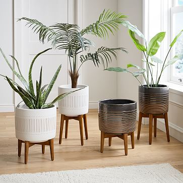 Mid-Century Turned Wood Leg Planters Collection | West Elm (US)