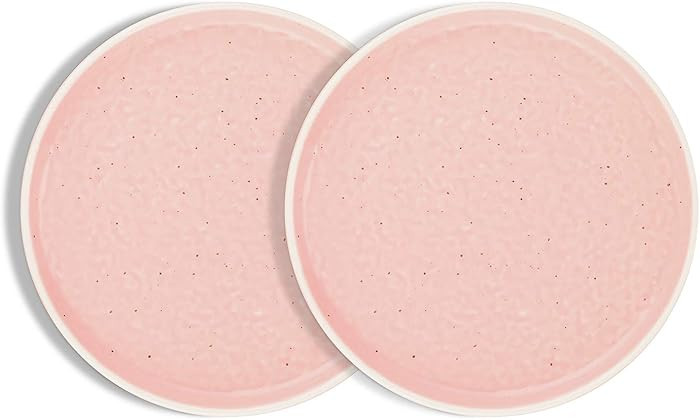 Stone lain Elena Stoneware Dish Set, 4 Dinner Plates, Pink | Amazon (US)